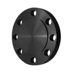 Flange cego