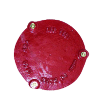 Placa Cega
